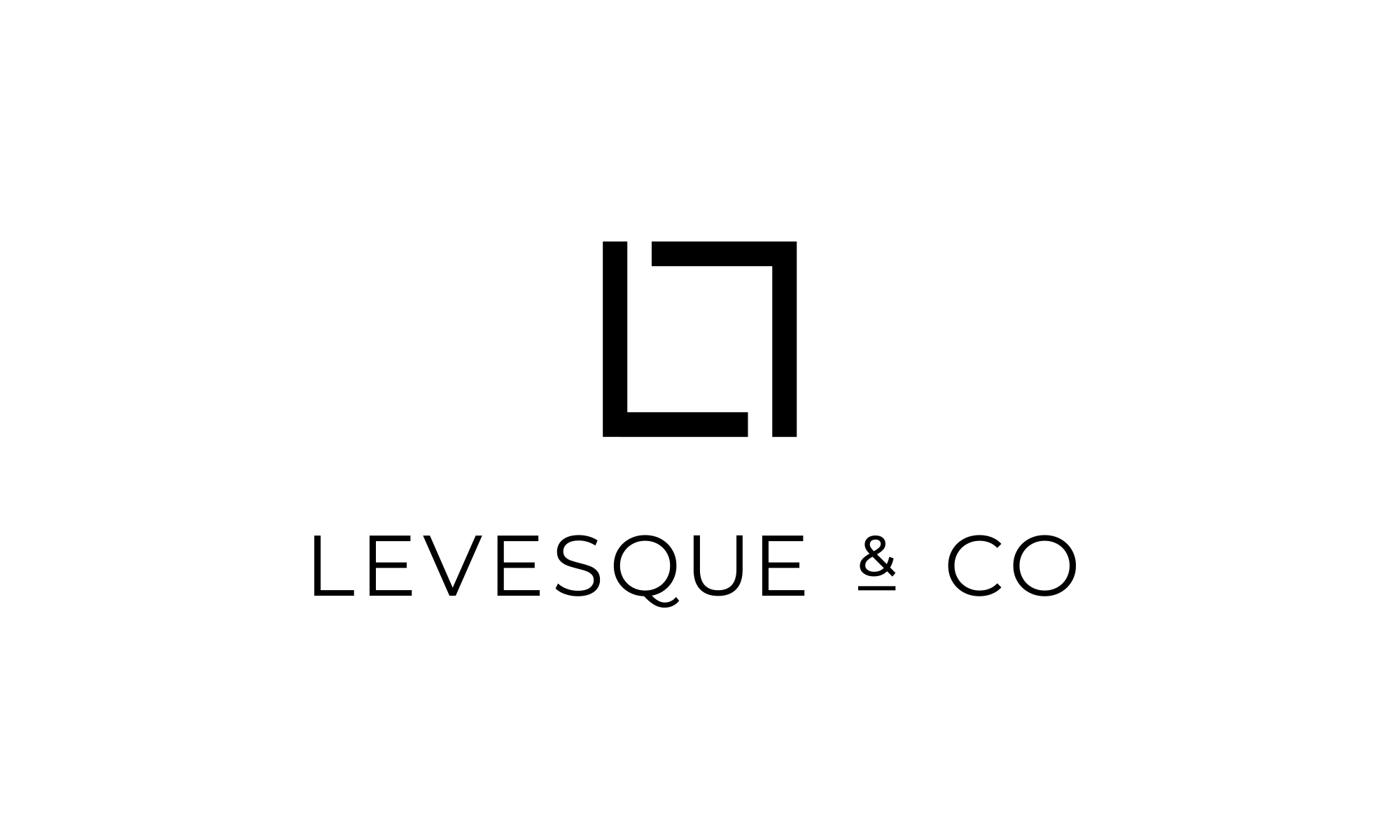 stylhaus-logo-brand-identity-design-LevesqueCo